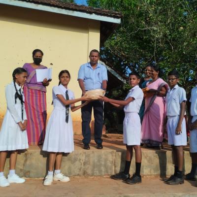 264de47a 2d5b 4797 84c8 B21986d9d7d6