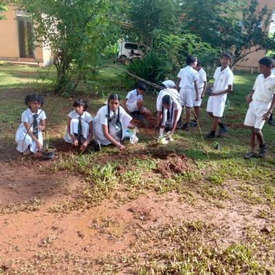 Whatsapp Image 2023 12 07 At 15.04.13