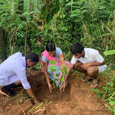 රුක් රෝපණ වැඩසටහන